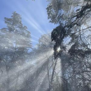 乱肉合集500集王老师
