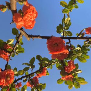 乱肉合集500集王老师
