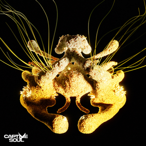 乱肉合集500集王老师
