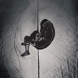 乱肉合集500集王老师
