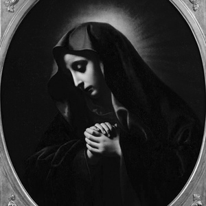 乱肉合集500集王老师
